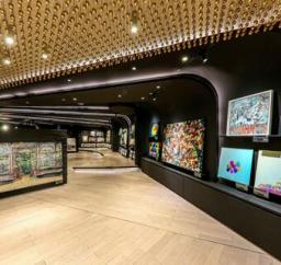 全球最大画廊落户兴业太古汇 暨法国艺术摄影师MICHEL TEMMAN开幕主展